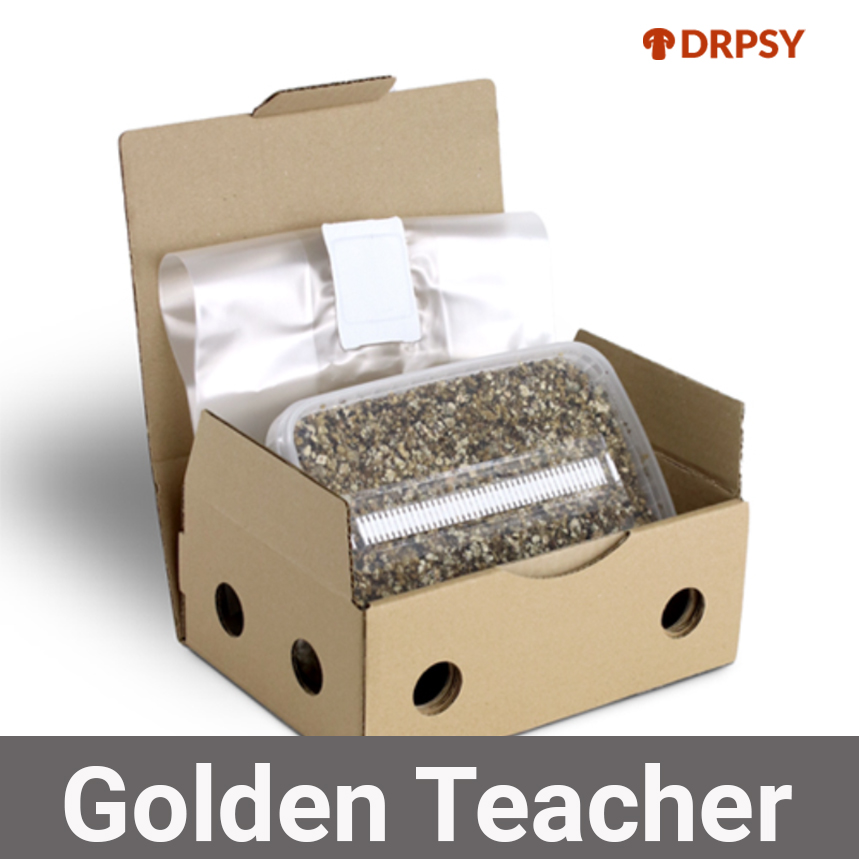 Growkit Golden Teacher: Kompletny Przewodnik