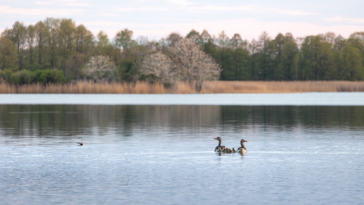 Mazury Garbate – ciekawy pomysł na wakacje z rodziną