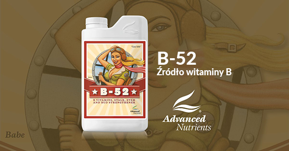 Dlaczego B-52 jest wyjątkowy w ofercie nawozów Advanced Nutrients?