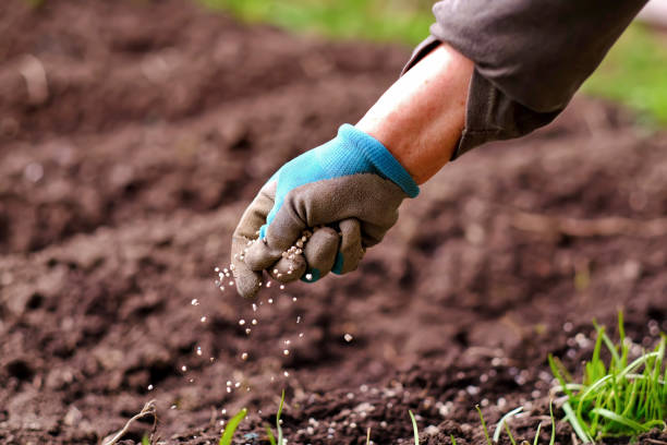 BioBizz Nawozy: Organiczne sekrety zdrowej uprawy